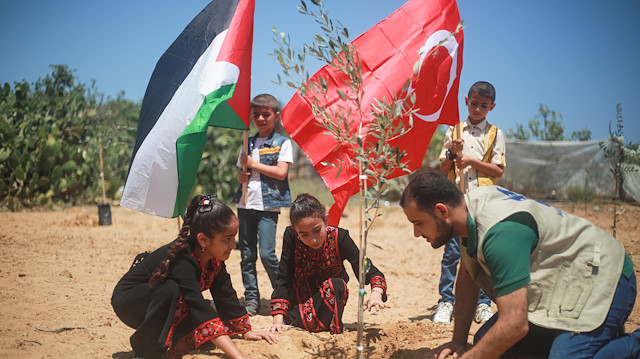 أطفال غزة يغرسون أشتال الزيتون لشهداء محاولة الإنقلاب بتركيا