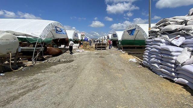 Sultangazi'de kurban pazarında karantina çadırı kurulacak.