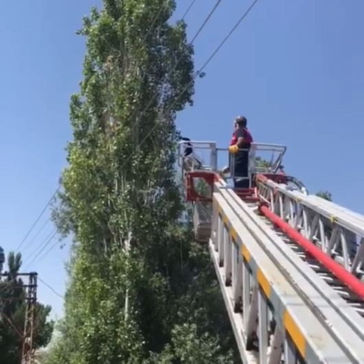 Ağaçta mahsur kalan kargayı itfaiye ekibi kurtardı