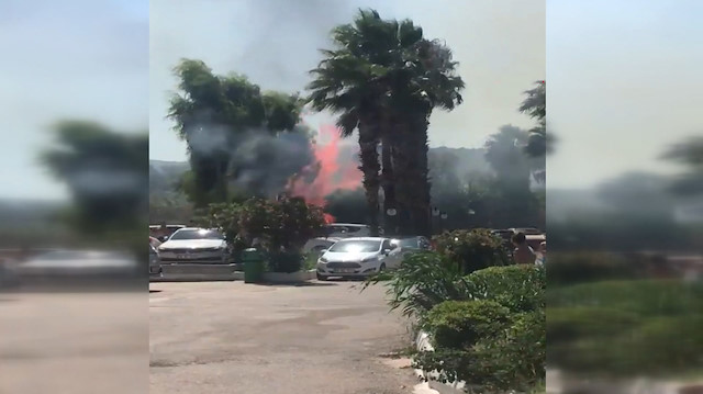 Bodrum Bitez'de ağaçlık alanda yangın çıktı