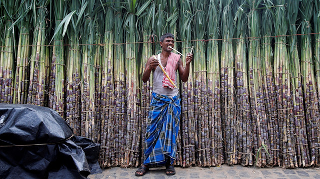 A trader eats a sugarcane as he waits for customers at a sugarcane wholesale market in Kolkata, India June 6, 2018.