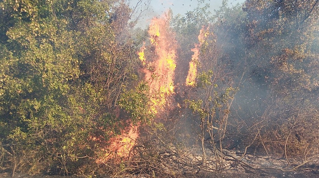 Yangın, Subaşı Mahallesi ve Malkara’nın Çınaraltı Mahallesi kırsalındaki ormanlık alana sıçradı.