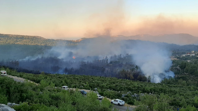 Manavgat'ta yerleşim yeri yakınında orman yangını çıktı. 