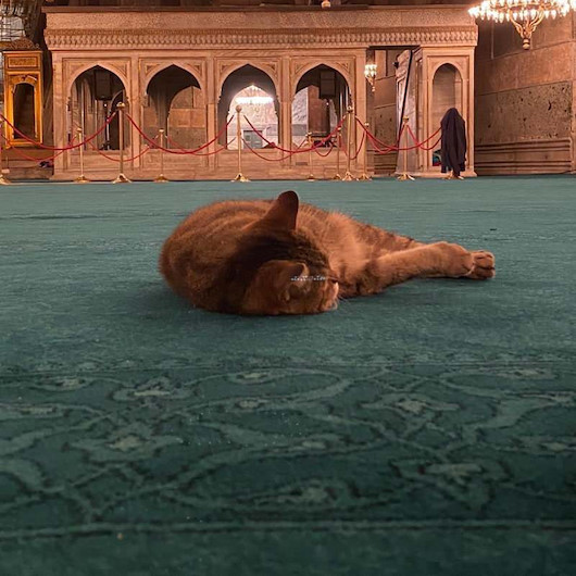 Ayasofyanın bekçisi Gli