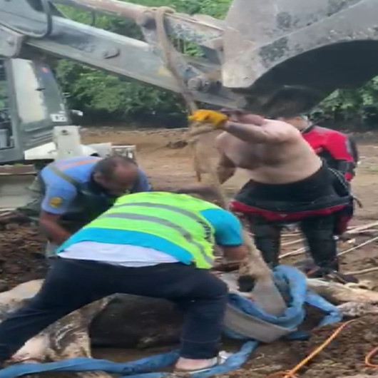 Mersinde su kuyusuna düşen ineği itfaiye ekipleri böyle kurtardı