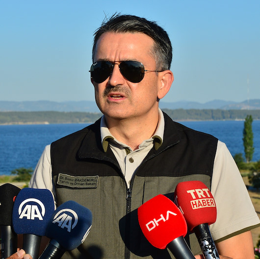 Bakan Pakdemirli: Tüm orman yangınları kontrol altında