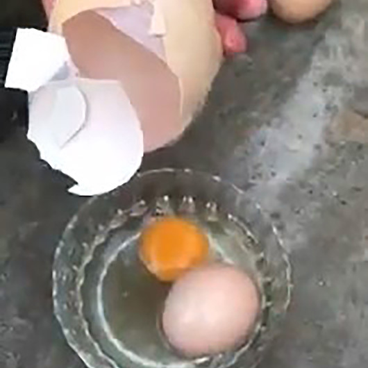 Aydında yumurtanın içinden başka bir yumurta daha çıkması görenleri hayrete düşürdü