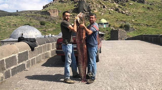  Soner ve Yener Uruş, yayın balığını temizlemeden önce Kars Kalesi yanındaki tarihi taş köprüde sergiledi. 