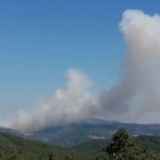 Çanakkalede orman yangını