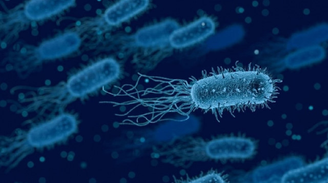 تصبح قاتلة.. ​موقع علمي يكشف عن مقاومة البكتيريا في الفضاء 