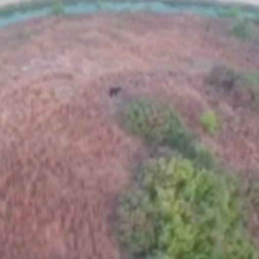 Kaybolan kurbanlık keçiyi drone ile buldular