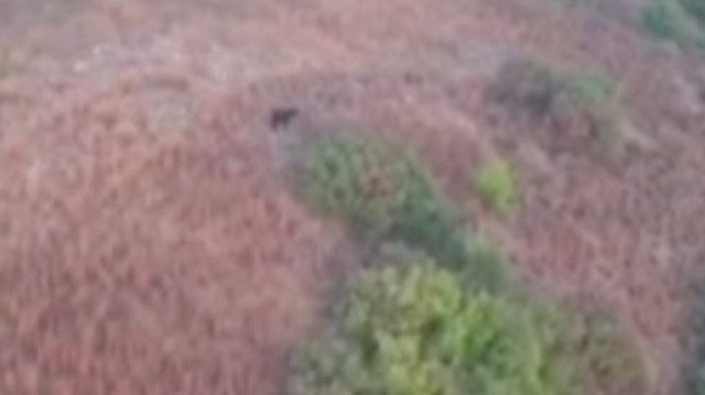 Kaybolan kurbanlık keçiyi drone ile buldular
