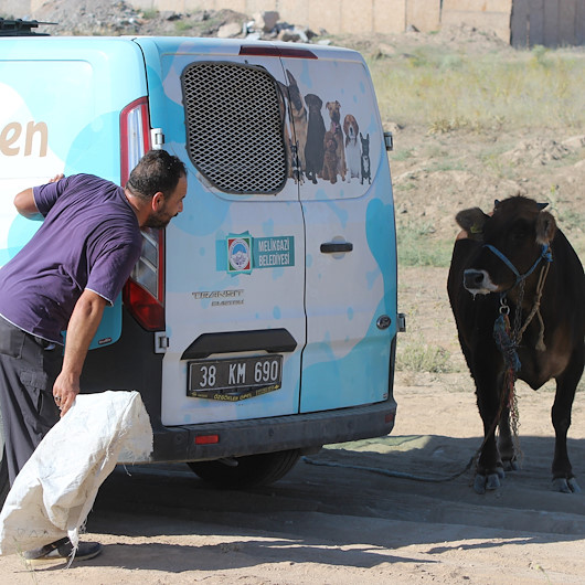 Kaçan kurbanlığa böyle seslendi: Gel kurban olduğum