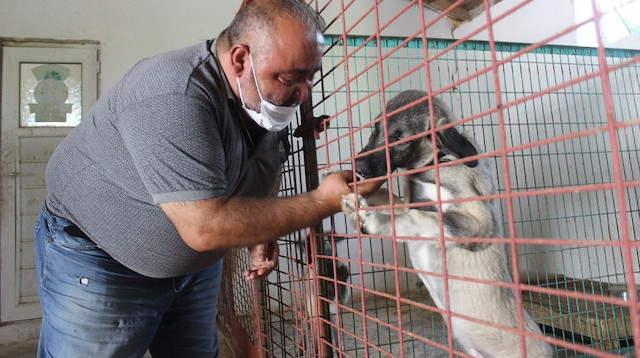 Bayram tatili nedeniyle köpek otellerde yoğunluk bir hayli arttı.