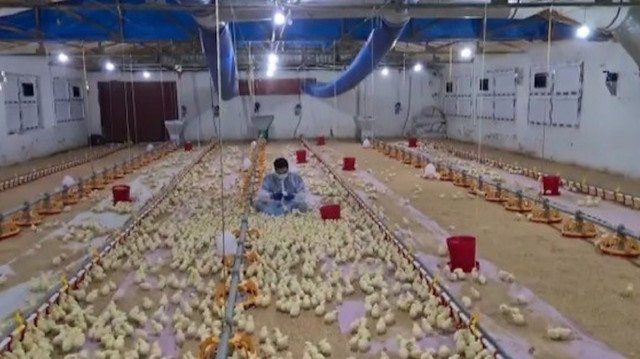 Tek komutla binlercesini ayağına getirdi