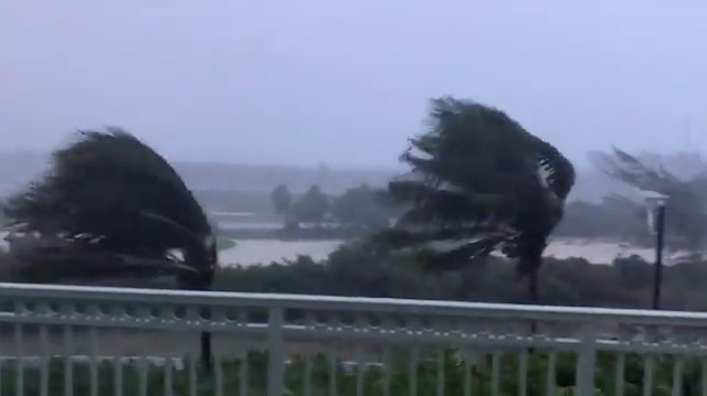 Palm trees bend in the winds preceding Hurricane Isaias in Miami Beach, Florida
