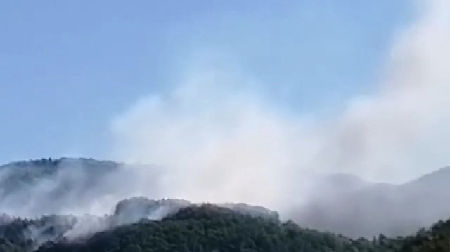Kastamonu'da korkutan orman yangını