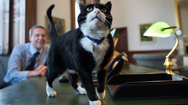 ​Diplomat kedi Palmerston emekli oldu.