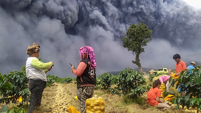 Locals harvest their potatoes as Mount Sinabung spews volcanic ash in Karo, North Sumatra province, Indonesia, August 10, 2020.