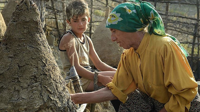 Belgesel, Avrupa'da yabani arı yetiştiriciliğiyle uğraşan son kadın olan 50 yaşındaki Türk kökenli "Hatice" karakteri üzerinden çevre ve doğal kaynakların kullanımını ele alıyor.