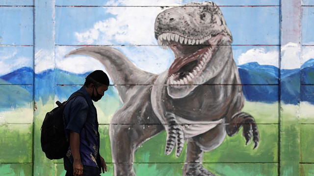 Man wearing a protective mask walks past a mural as the coronavirus disease (COVID-19) outbreak continues in Jakarta, Indonesia, August 23, 2020. REUTERS/Willy Kurniawan

