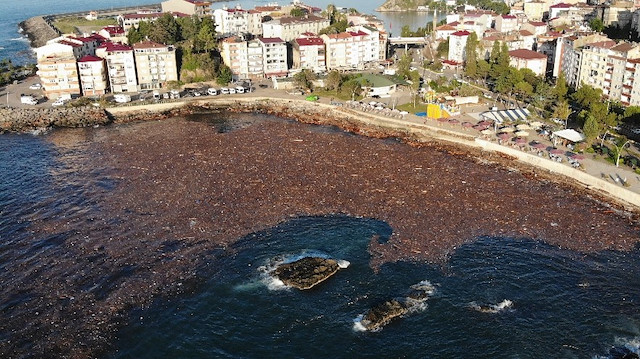 Geçtiğimiz Cumartesi akşamı yaşanan sel felaketinin ardından deniz yüzeyi çamur, rusubat, balçık nedeniyle kahverengi bir renk aldı.
