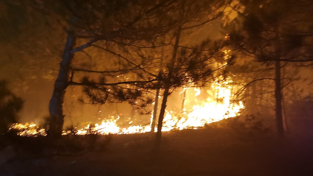 Ankara Alev Alev Yaniyor Nallihan Da Orman Yanginini Sondurme Calismalari Gece De Surdu