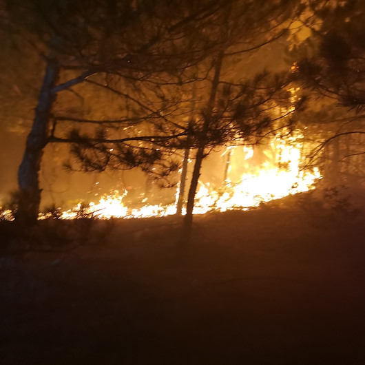 Ankara Alev Alev Yaniyor Nallihan Da Orman Yanginini Sondurme Calismalari Gece De Surdu