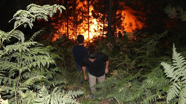 Kastamonu, Çankırı, Tokat ve Bolu'da peş peşe orman yangınları..