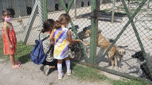 بفضل وسائل التواصل التركية.. حياة جديدة لحيوانات أليفة