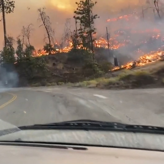 Californiadaki orman yangınları nedeniyle 5 bölgede acil durum ilanı