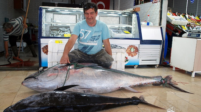  2 metre 17 santim uzunluğunda ve 141 kilo ağırlığında orkinos balığı.