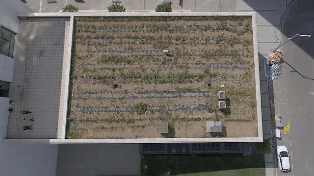 Gebze’de bulunan Bilişim Vadisi’nde bir şirkette yönetici olarak çalışan Yusuf Karataş, mesleğini bırakarak yine Bilişim Vadisi içerisinde bulunan bir restoranı işletmeye başladı.