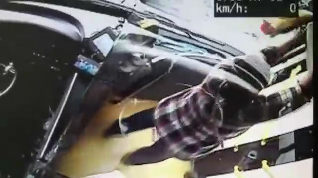 Otobüste kafesinden kaçan kedi ortalığı birbirine kattı
