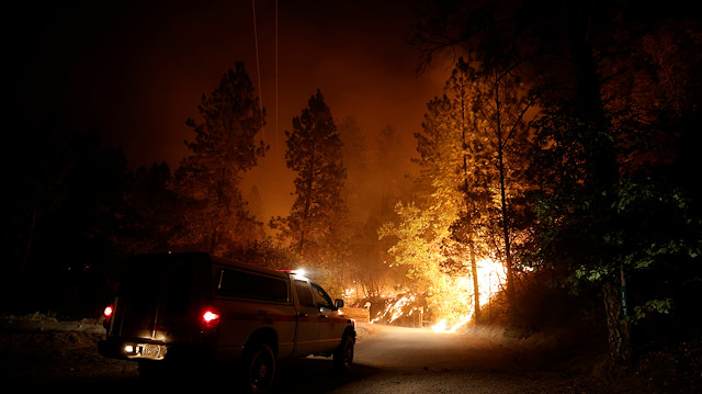 ABD'de yangınlar 200 ormanı küle çevirdi.