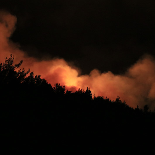 Adana Pozantıdaki orman yangını gece de devam etti