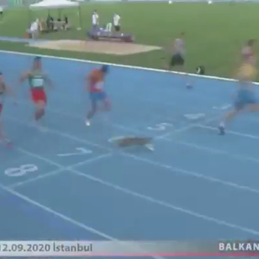Finiş çizgisinde piste giren kedi yarışın son anlarına damgasını vurdu