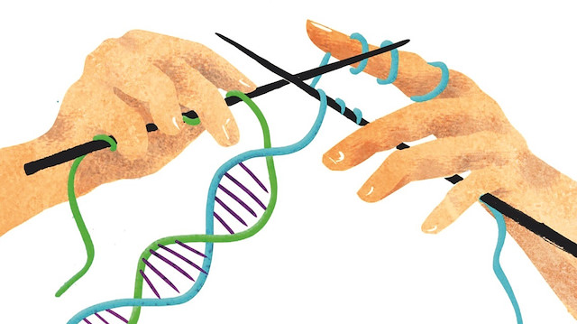 Epigenetik, genin insan davranışını etkilediği kısmını kabul edelim der. Fakat insan davranışlarının da genleri şekillendirdiği gerçeğini görmek zorundayız