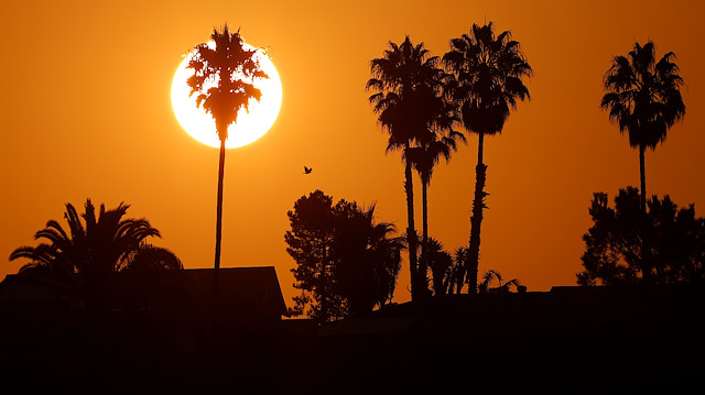 The morning sun rises over a neighborhood as a heatwave continues 