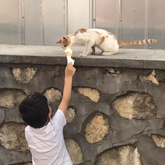 Küçük Çınar dondurmasını kediyle paylaştı