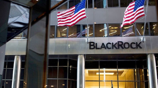 BlackRock dünyanın sayılı büyük sermaye ve risk yönetim şirketlerinden birisi.