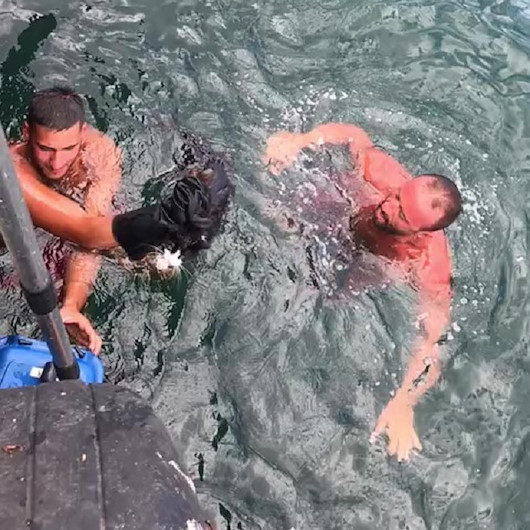 Bursada denize düşen kediyi cankurtaran çıkardı