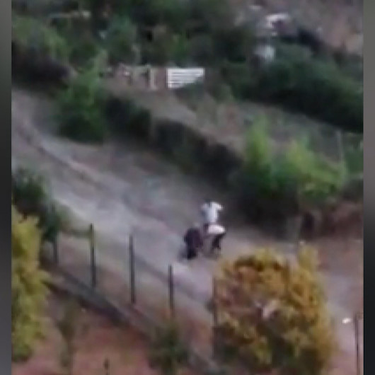 Sokak hayvanlarını beslemek isteyen kadının saldırıya uğradığı anlar