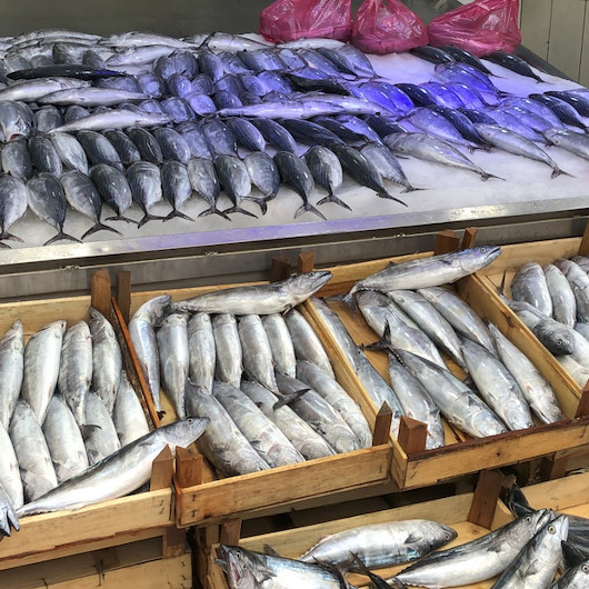Yasak kalktı, tezgahlar palamutla şenlendi