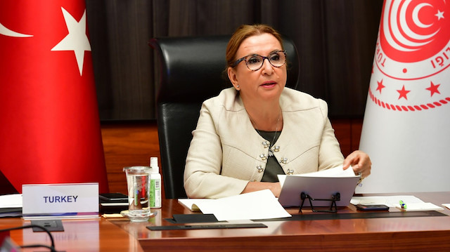 Ruhsar Pekcan speaks at a G20 Trade and Investment Ministers Meeting