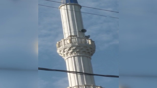 Manisa'da tilki cami minaresine çıktı: Kurtarmaya gelen vatandaşlardan korkup onlarca metreden aşağı atladı