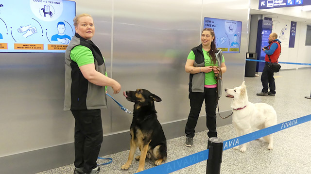 Sniffer dogs Valo (L) and E.T., being trained to detect the coronavirus from the arriving passengers' samples, are seen in Helsinki Airport in Vantaa, Finland September 22, 2020. 