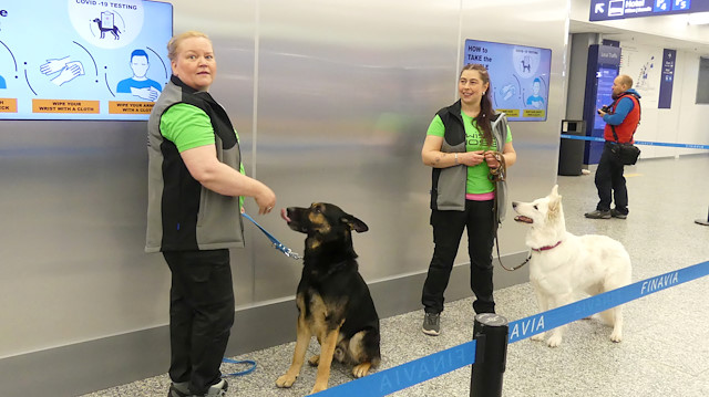 Sniffer dogs Valo (L) and E.T., being trained to detect the coronavirus from the arriving passengers' samples, are seen in Helsinki Airport in Vantaa, Finland September 22, 2020.