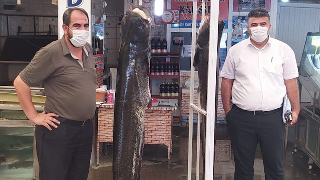 Kahramanmaraş’ta gölde yakalanan balık şaşırttı: Tam 2 metre