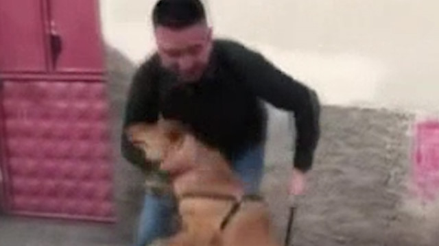 Sahibine kavuşan köpeğin görülmeye değer sevinci